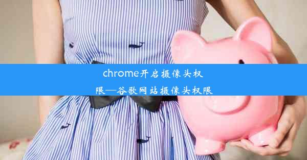 chrome开启摄像头权限—谷歌网站摄像头权限