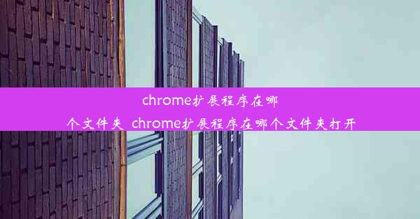 chrome扩展程序在哪个文件夹_chrome扩展程序在哪个文件夹打开