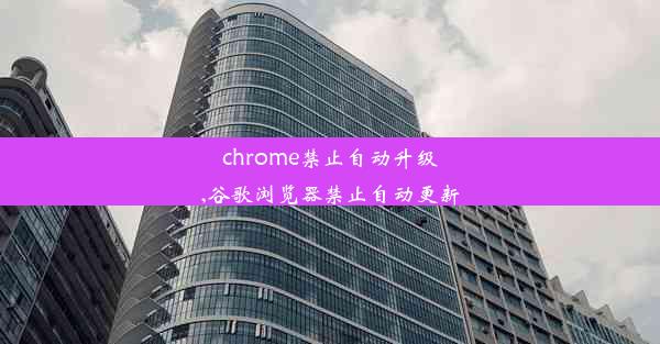 chrome禁止自动升级,谷歌浏览器禁止自动更新