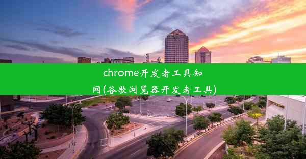 chrome开发者工具知网(谷歌浏览器开发者工具)