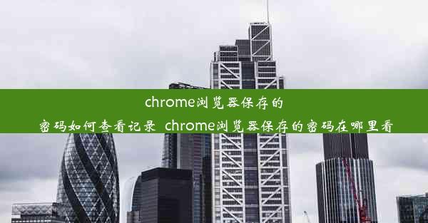 chrome浏览器保存的密码如何查看记录_chrome浏览器保存的密码在哪里看