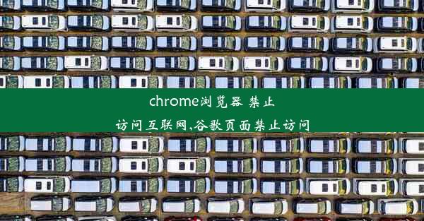 chrome浏览器 禁止访问互联网,谷歌页面禁止访问