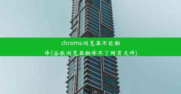 chrome浏览器不能翻译(谷歌浏览器翻译不了网页文件)