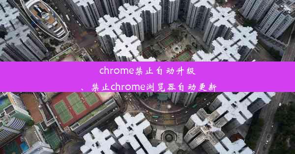 chrome禁止自动升级、禁止chrome浏览器自动更新