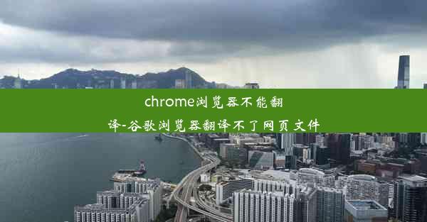 chrome浏览器不能翻译-谷歌浏览器翻译不了网页文件