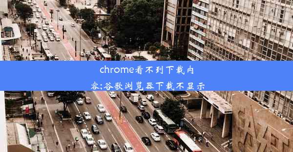 chrome看不到下载内容;谷歌浏览器下载不显示