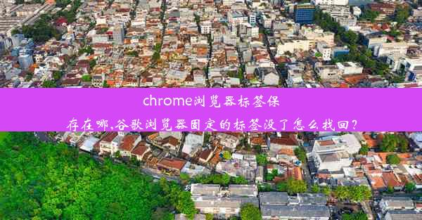 chrome浏览器标签保存在哪,谷歌浏览器固定的标签没了怎么找回？