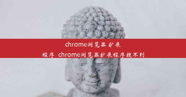 chrome浏览器 扩展程序_chrome浏览器扩展程序搜不到