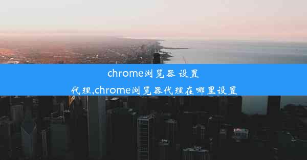 chrome浏览器 设置代理,chrome浏览器代理在哪里设置