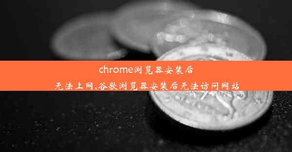 chrome浏览器安装后无法上网,谷歌浏览器安装后无法访问网站