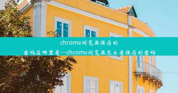 chrome浏览器保存的密码在哪里看—chrome浏览器怎么看保存的密码