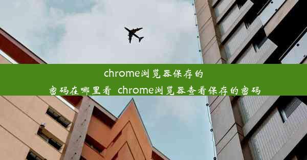 chrome浏览器保存的密码在哪里看_chrome浏览器查看保存的密码