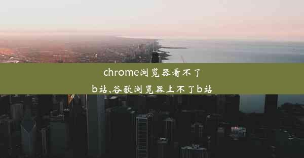 chrome浏览器看不了b站,谷歌浏览器上不了b站