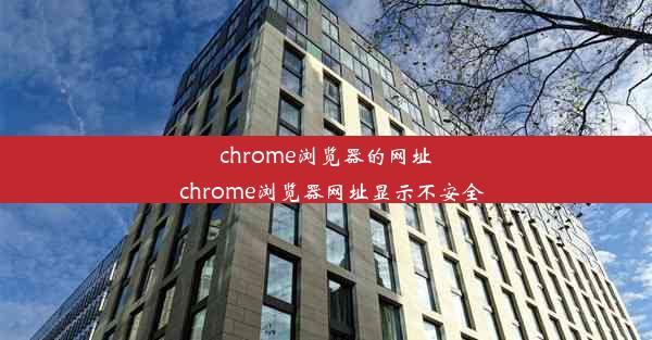 chrome浏览器的网址_chrome浏览器网址显示不安全