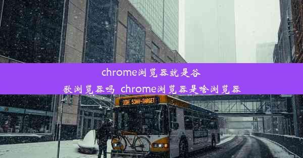 chrome浏览器就是谷歌浏览器吗_chrome浏览器是啥浏览器