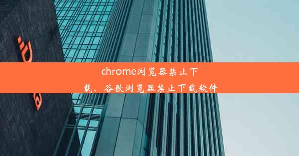 chrome浏览器禁止下载、谷歌浏览器禁止下载软件