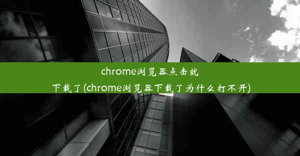 chrome浏览器点击就下载了(chrome浏览器下载了为什么打不开)