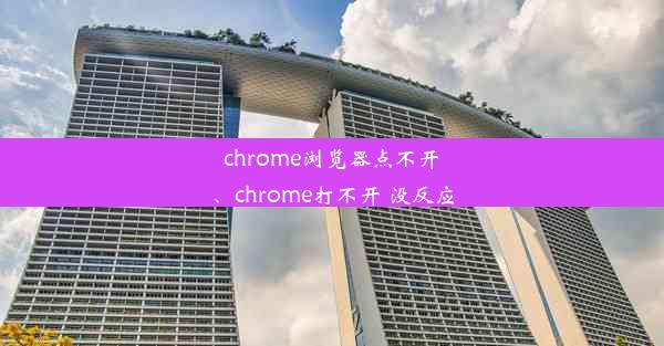 chrome浏览器点不开、chrome打不开 没反应