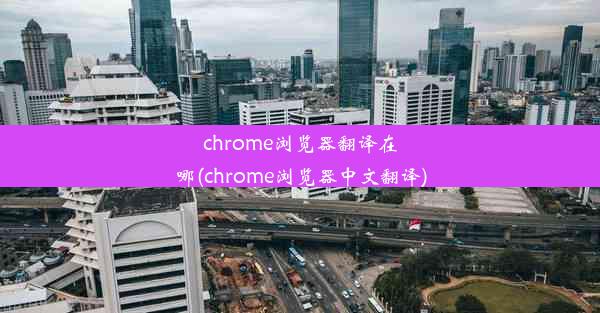 chrome浏览器翻译在哪(chrome浏览器中文翻译)