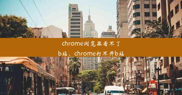 chrome浏览器看不了b站、chrome打不开b站