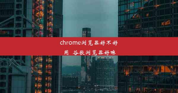 chrome浏览器好不好用_谷歌浏览器好嘛