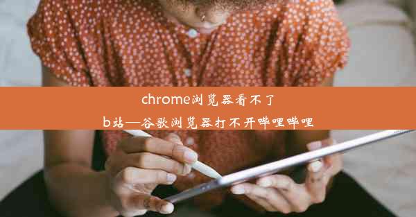 chrome浏览器看不了b站—谷歌浏览器打不开哔哩哔哩