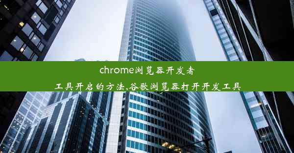 chrome浏览器开发者工具开启的方法,谷歌浏览器打开开发工具