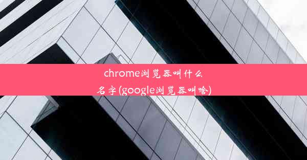 chrome浏览器叫什么名字(google浏览器叫啥)