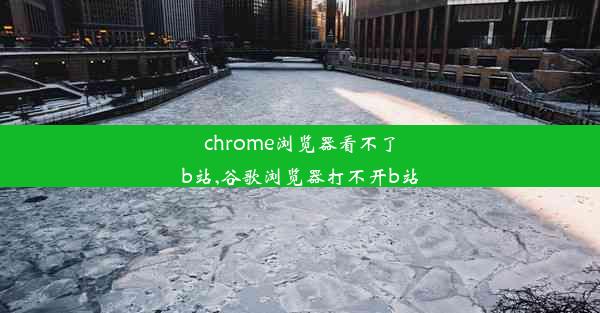 chrome浏览器看不了b站,谷歌浏览器打不开b站