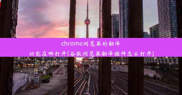 chrome浏览器的翻译功能在哪打开(谷歌浏览器翻译插件怎么打开)