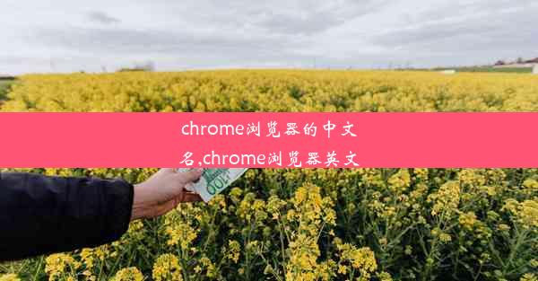 chrome浏览器的中文名,chrome浏览器英文