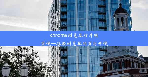 chrome浏览器打开网页慢—谷歌浏览器网页打开慢