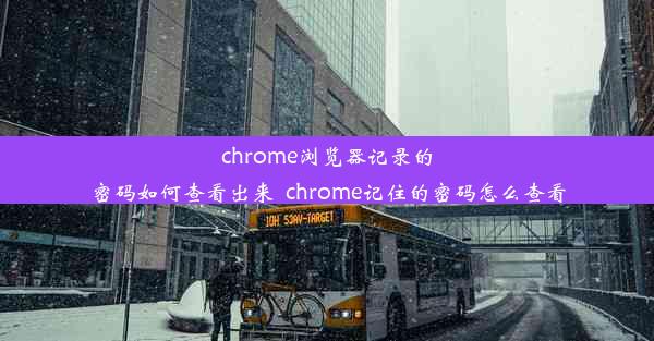 chrome浏览器记录的密码如何查看出来_chrome记住的密码怎么查看