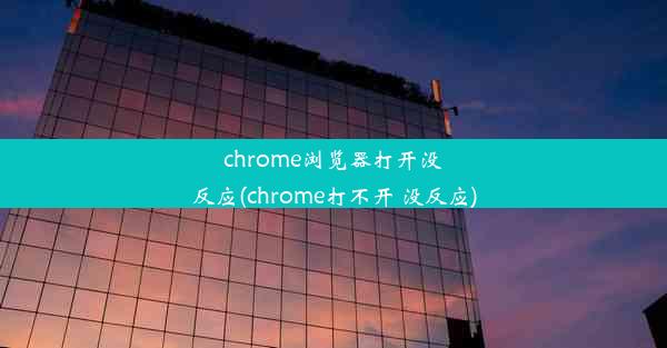 chrome浏览器打开没反应(chrome打不开 没反应)