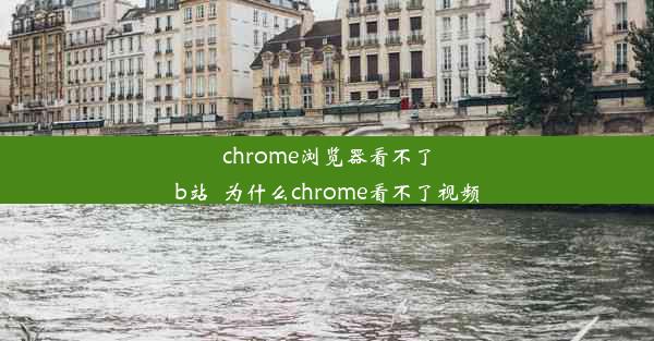 chrome浏览器看不了b站_为什么chrome看不了视频