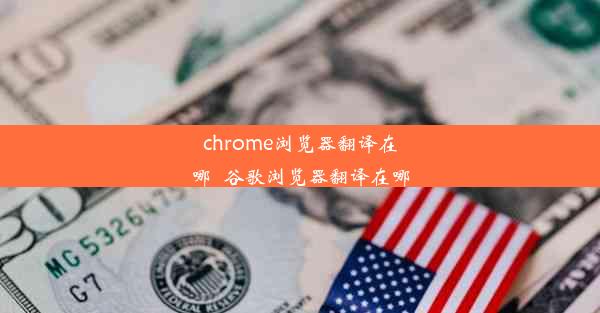 chrome浏览器翻译在哪_谷歌浏览器翻译在哪