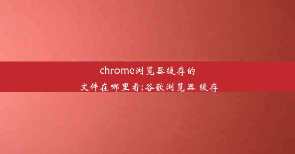 chrome浏览器缓存的文件在哪里看;谷歌浏览器 缓存