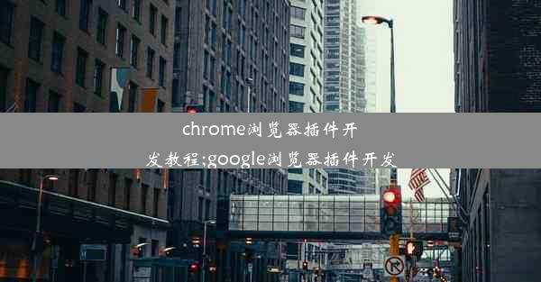 chrome浏览器插件开发教程;google浏览器插件开发