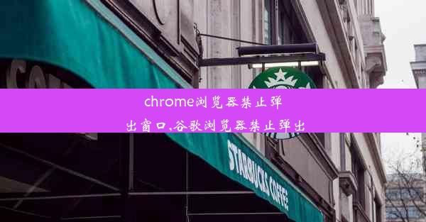 chrome浏览器禁止弹出窗口,谷歌浏览器禁止弹出