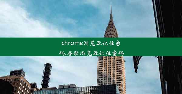 chrome浏览器记住密码,谷歌游览器记住密码