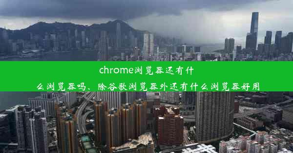 chrome浏览器还有什么浏览器吗、除谷歌浏览器外还有什么浏览器好用