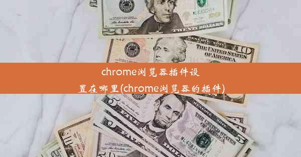 chrome浏览器插件设置在哪里(chrome浏览器的插件)