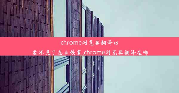 chrome浏览器翻译功能不见了怎么恢复,chrome浏览器翻译在哪