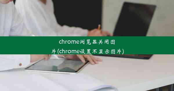 chrome浏览器关闭图片(chrome设置不显示图片)