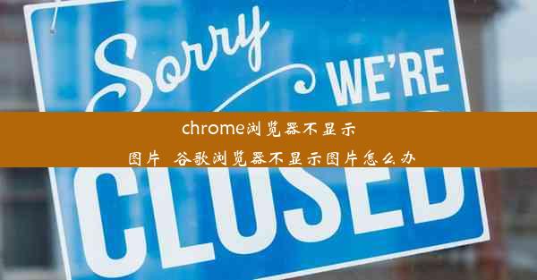 chrome浏览器不显示图片_谷歌浏览器不显示图片怎么办