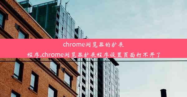 chrome浏览器的扩展程序,chrome浏览器扩展程序设置页面打不开了