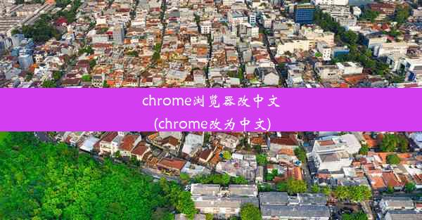 chrome浏览器改中文(chrome改为中文)