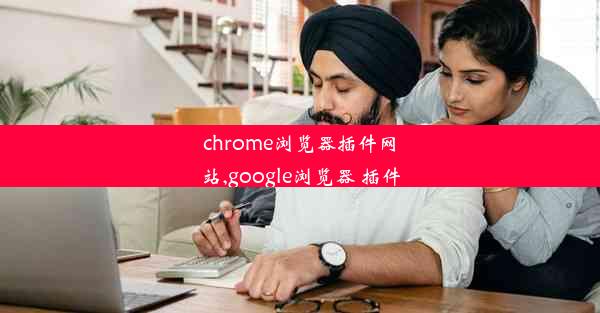 chrome浏览器插件网站,google浏览器 插件