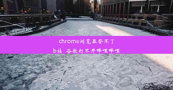 chrome浏览器登不了b站_谷歌打不开哔哩哔哩