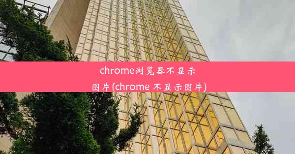 chrome浏览器不显示图片(chrome 不显示图片)